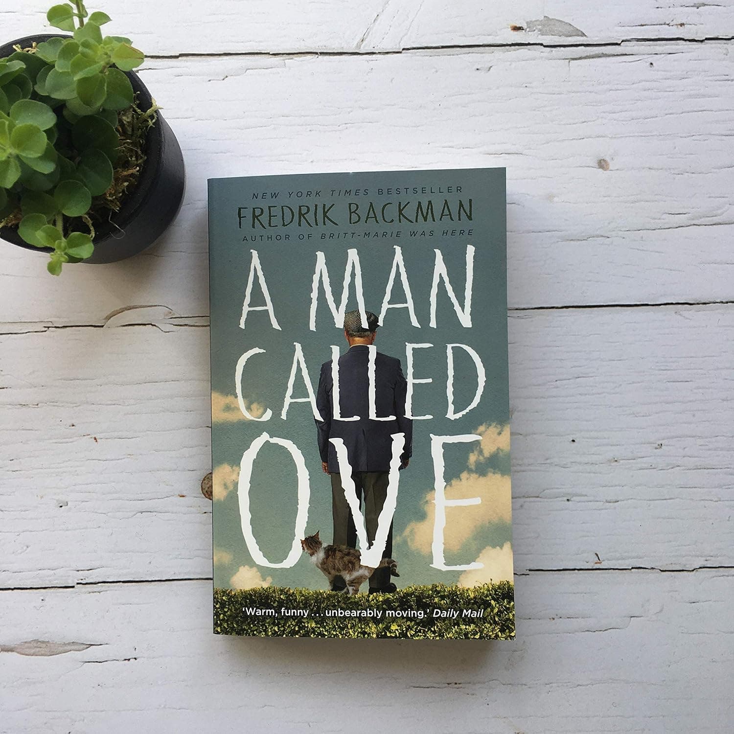 A Man Called Ove view 2